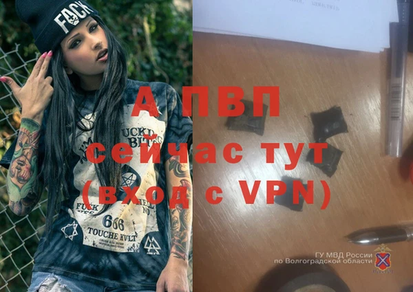молекула духа Белокуриха