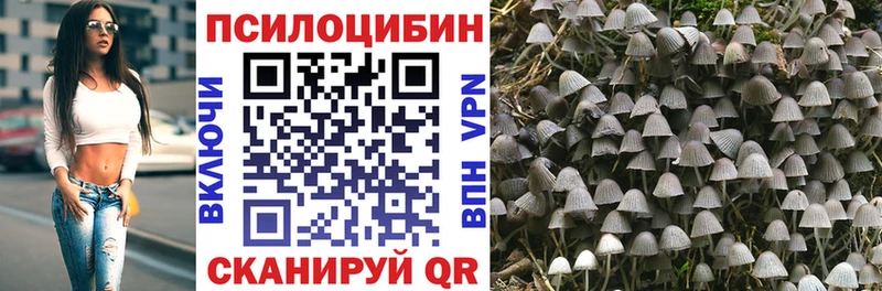 как найти наркотики  Болохово  Галлюциногенные грибы прущие грибы 