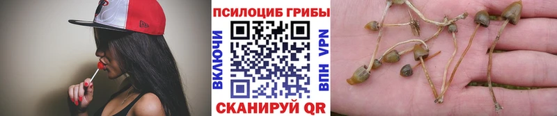 Псилоцибиновые грибы Magic Shrooms Болохово